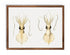 love heart squid wall art